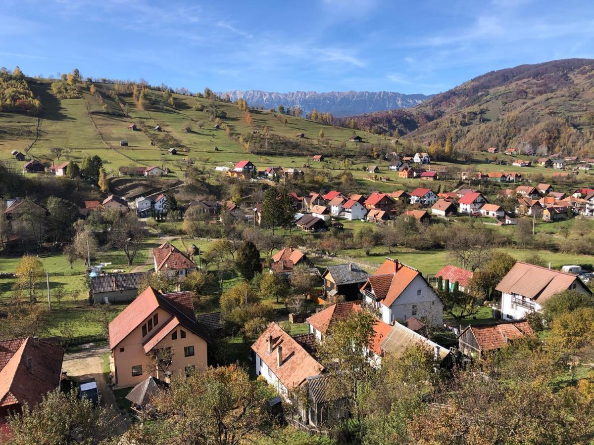 On Top Chalet 브란 외부 사진